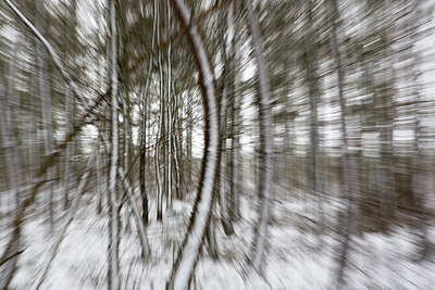 BUITEN BEELD Foto: 265102
