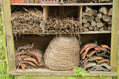 BUITEN BEELD Foto: 265111