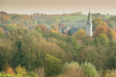 BUITEN BEELD Foto: 265119