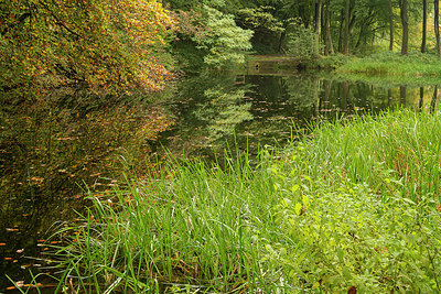 BUITEN BEELD Foto: 265170