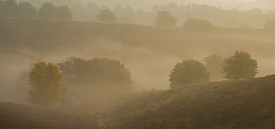 BUITEN BEELD Foto: 265176