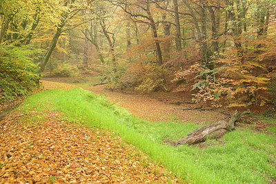 BUITEN BEELD Foto: 265198