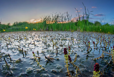 BUITEN BEELD Foto: 265280