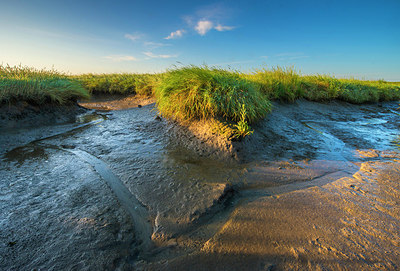 BUITEN BEELD Foto: 265309