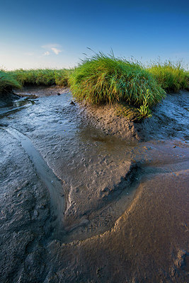 BUITEN BEELD Foto: 265315