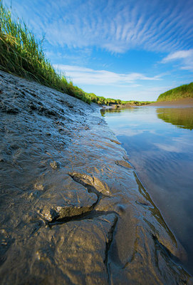 BUITEN BEELD Foto: 265337