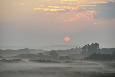 BUITEN BEELD Foto: 265360