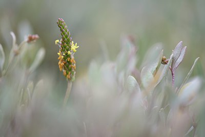 BUITEN BEELD Foto: 265362
