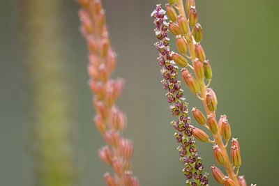 BUITEN BEELD Foto: 265363
