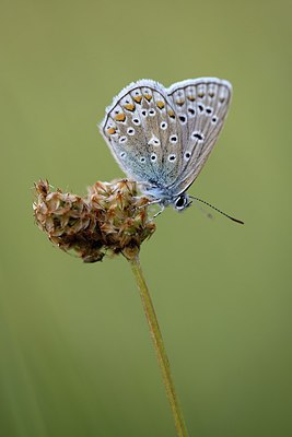 BUITEN BEELD Foto: 265369