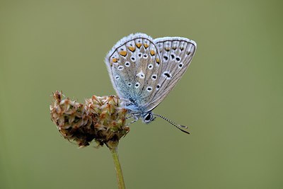 BUITEN BEELD Foto: 265370