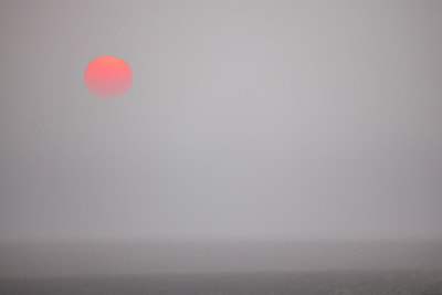 BUITEN BEELD Foto: 265375