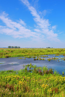 BUITEN BEELD Foto: 265385