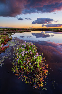 BUITEN BEELD Foto: 265394