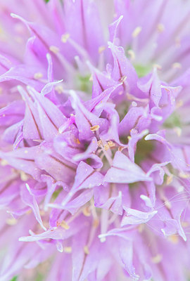 BUITEN BEELD Foto: 265413