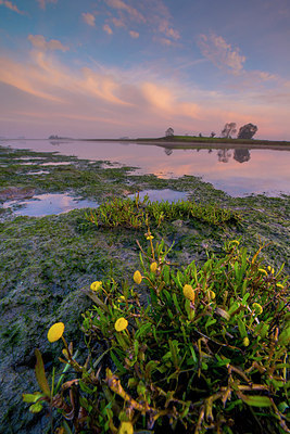 BUITEN BEELD Foto: 265488