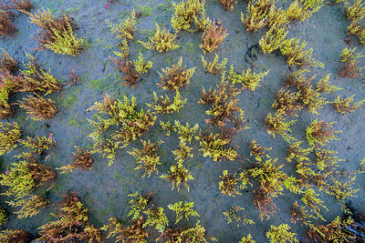 BUITEN BEELD Foto: 265499