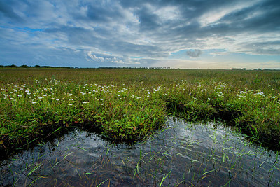 BUITEN BEELD Foto: 265506