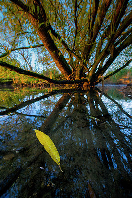 BUITEN BEELD Foto: 265515