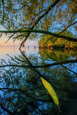 BUITEN BEELD Foto: 265520