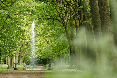 BUITEN BEELD Foto: 265552
