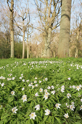 BUITEN BEELD Foto: 265560