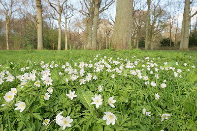 BUITEN BEELD Foto: 265561