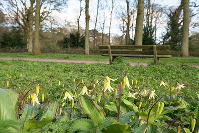 BUITEN BEELD Foto: 265570