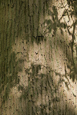 BUITEN BEELD Foto: 265575