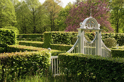 BUITEN BEELD Foto: 265581