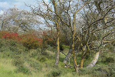 BUITEN BEELD Foto: 265583