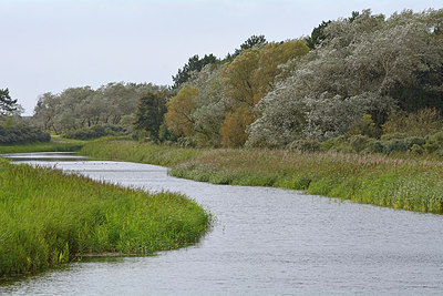 BUITEN BEELD Foto: 265599