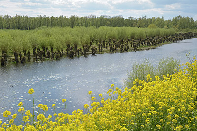 BUITEN BEELD Foto: 265600