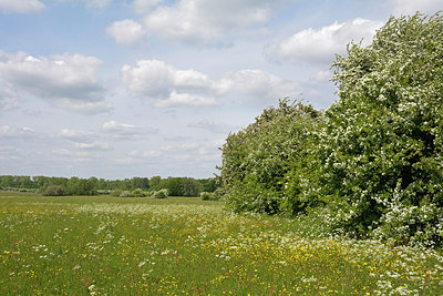 BUITEN BEELD Foto: 265601