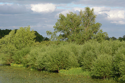 BUITEN BEELD Foto: 265614