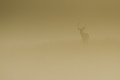 BUITEN BEELD Foto: 265622