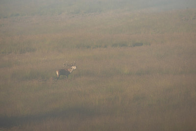 BUITEN BEELD Foto: 265626