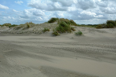 BUITEN BEELD Foto: 265633