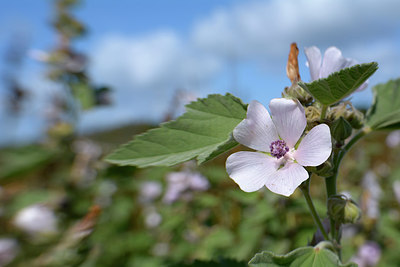 BUITEN BEELD Foto: 265636