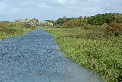 BUITEN BEELD Foto: 265641