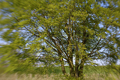 BUITEN BEELD Foto: 265646