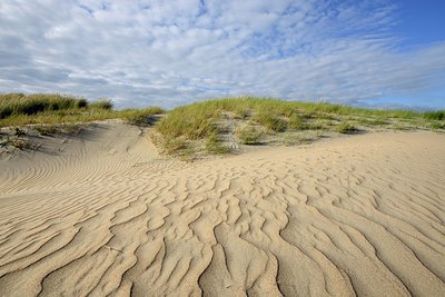 BUITEN BEELD Foto: 265658