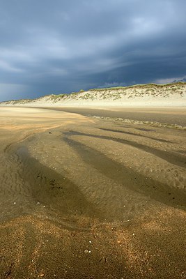 BUITEN BEELD Foto: 265659