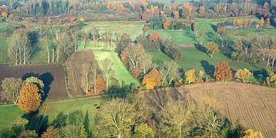 BUITEN BEELD Foto: 265680