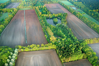 BUITEN BEELD Foto: 265711