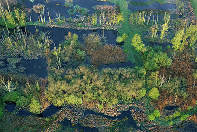 BUITEN BEELD Foto: 265738