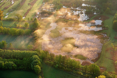 BUITEN BEELD Foto: 265742