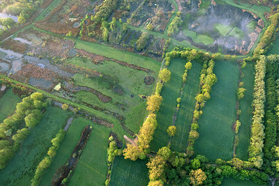 BUITEN BEELD Foto: 265760