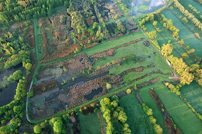 BUITEN BEELD Foto: 265761