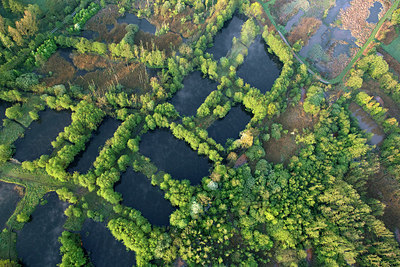 BUITEN BEELD Foto: 265767